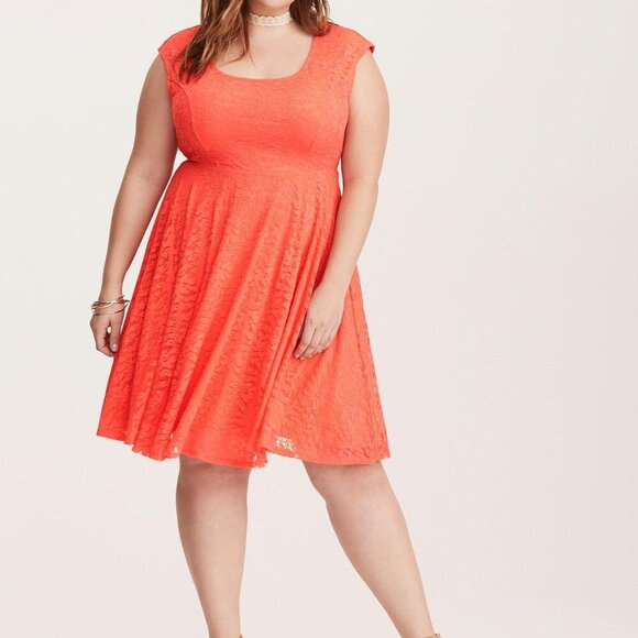 (Retired!) Lace Skater Dress - Picture 1 of 3